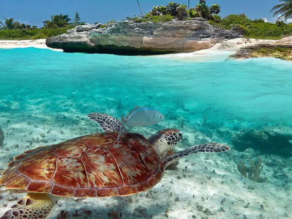 akumal mexican destination