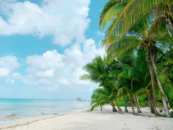coxumel mexican caribbean destination