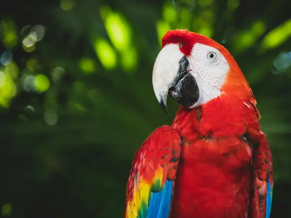 eco parks mexico