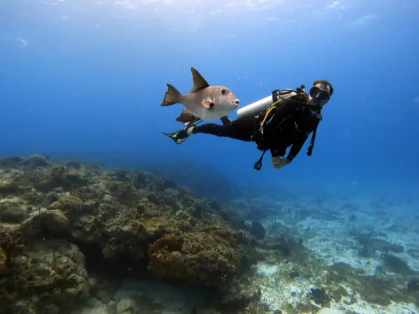 scuba diving things to do in the mexican caribbean