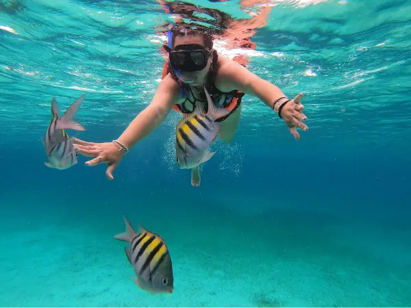 snorkel in caribbean waters