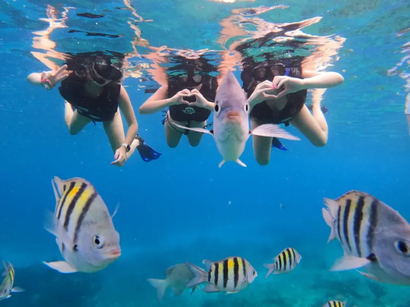 Snorkeling in Cozumel