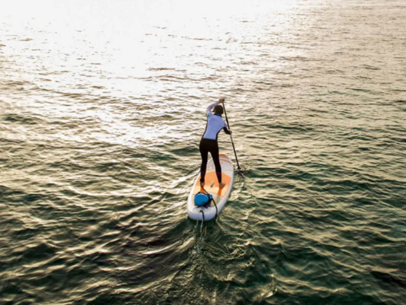 Paddle Activities